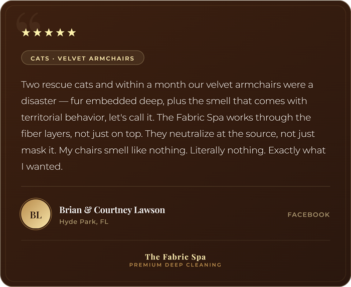 Five-star review from Brian Lawson